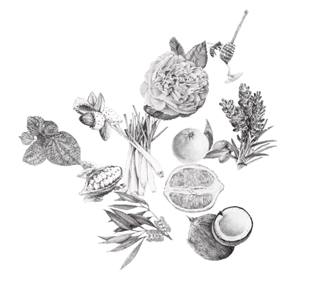Right Decoration